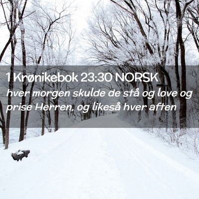 Picture 02 - 1 Krønikebok 23:30 NORSK - hver morgen skulde de stå og love og prise - Bible Verse Picture