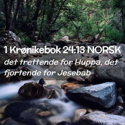 Picture 02 - 1 Krønikebok 24:13 NORSK - det trettende for Huppa, det fjortende for - Bible Verse Picture