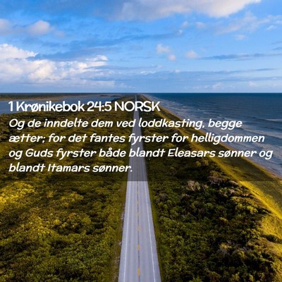 Picture 02 - 1 Krønikebok 24:5 NORSK - Og de inndelte dem ved loddkasting, begge ætter; - Bible Verse Picture