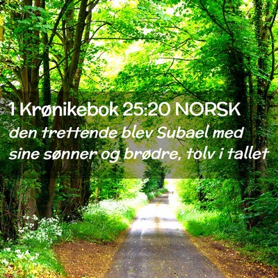Picture 02 - 1 Krønikebok 25:20 NORSK - den trettende blev Subael med sine sønner og - Bible Verse Picture