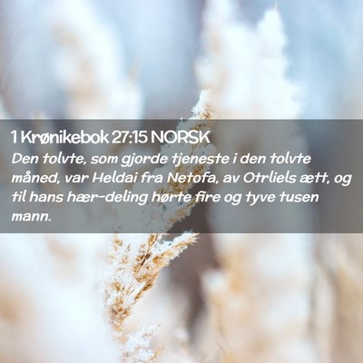 Picture 02 - 1 Krønikebok 27:15 NORSK - Den tolvte, som gjorde tjeneste i den tolvte - Bible Verse Picture