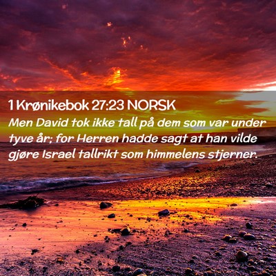 Picture 02 - 1 Krønikebok 27:23 NORSK - Men David tok ikke tall på dem som var under - Bible Verse Picture