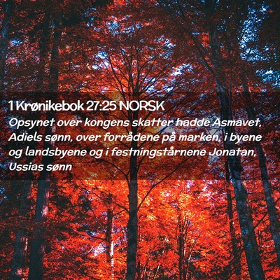 Picture 02 - 1 Krønikebok 27:25 NORSK - Opsynet over kongens skatter hadde Asmavet, - Bible Verse Picture