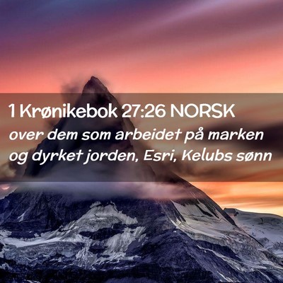 Picture 02 - 1 Krønikebok 27:26 NORSK - over dem som arbeidet på marken og dyrket - Bible Verse Picture