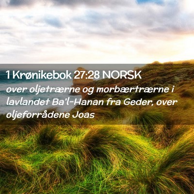 Picture 02 - 1 Krønikebok 27:28 NORSK - over oljetrærne og morbærtrærne i lavlandet - Bible Verse Picture