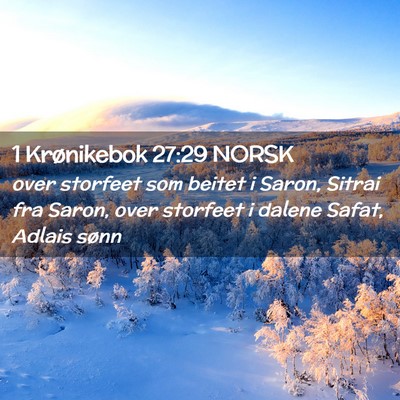 Picture 02 - 1 Krønikebok 27:29 NORSK - over storfeet som beitet i Saron, Sitrai fra - Bible Verse Picture