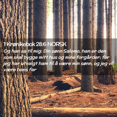 Picture 02 - 1 Krønikebok 28:6 NORSK - Og han sa til mig: Din sønn Salomo, han er den - Bible Verse Picture