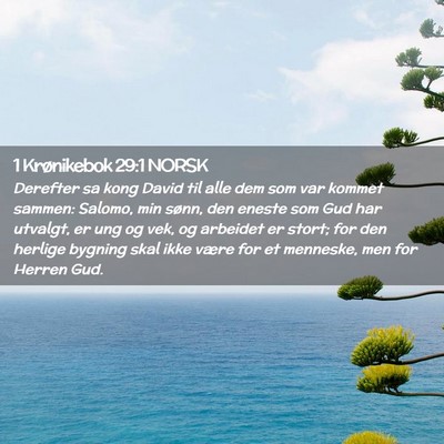 Picture 02 - 1 Krønikebok 29:1 NORSK - Derefter sa kong David til alle dem som var - Bible Verse Picture