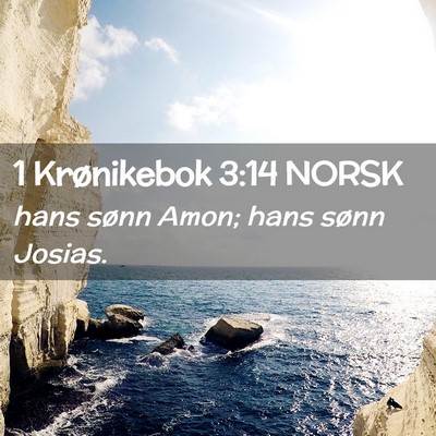 Picture 02 - 1 Krønikebok 3:14 NORSK - hans sønn Amon; hans sønn - Bible Verse Picture