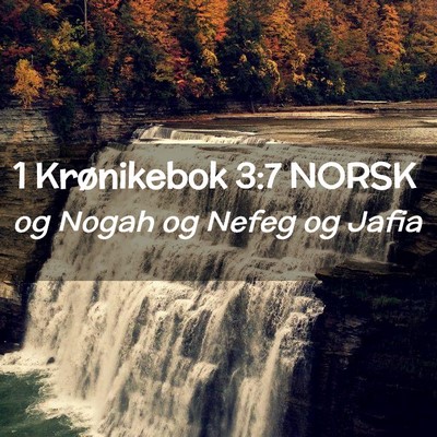 Picture 02 - 1 Krønikebok 3:7 NORSK - og Nogah og Nefeg og - Bible Verse Picture