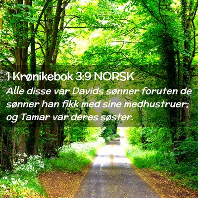 Picture 02 - 1 Krønikebok 3:9 NORSK - Alle disse var Davids sønner foruten de sønner - Bible Verse Picture
