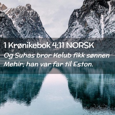 Picture 02 - 1 Krønikebok 4:11 NORSK - Og Suhas bror Kelub fikk sønnen Mehir; han var - Bible Verse Picture