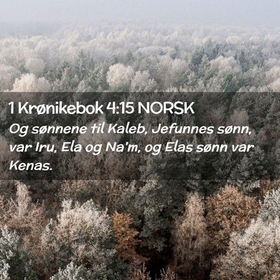 Picture 02 - 1 Krønikebok 4:15 NORSK - Og sønnene til Kaleb, Jefunnes sønn, var Iru, - Bible Verse Picture