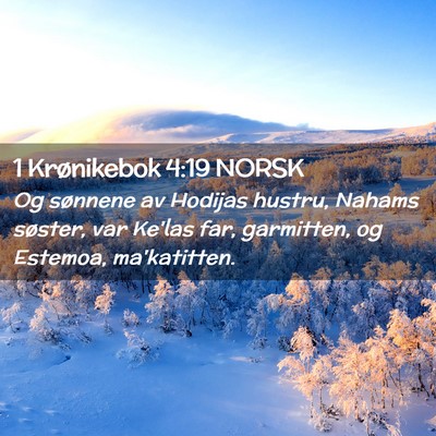 Picture 02 - 1 Krønikebok 4:19 NORSK - Og sønnene av Hodijas hustru, Nahams søster, - Bible Verse Picture