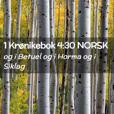 Picture 02 - 1 Krønikebok 4:30 NORSK - og i Betuel og i Horma og i - Bible Verse Picture