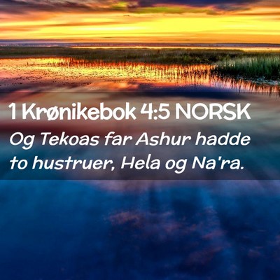Picture 02 - 1 Krønikebok 4:5 NORSK - Og Tekoas far Ashur hadde to hustruer, Hela og - Bible Verse Picture