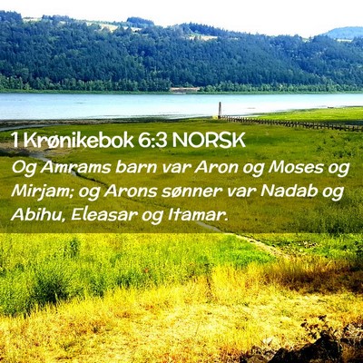 Picture 02 - 1 Krønikebok 6:3 NORSK - Og Amrams barn var Aron og Moses og Mirjam; og - Bible Verse Picture