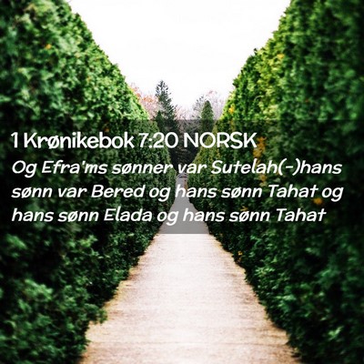 Picture 02 - 1 Krønikebok 7:20 NORSK - Og Efra'ms sønner var Sutelah(-)hans sønn var - Bible Verse Picture