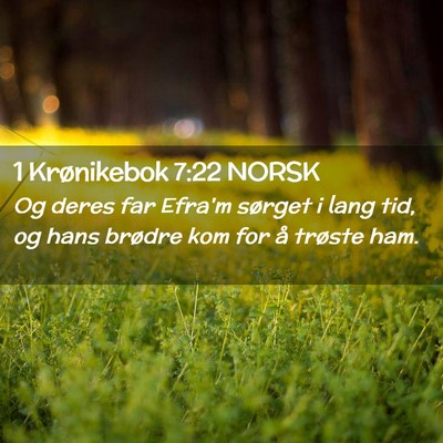 Picture 02 - 1 Krønikebok 7:22 NORSK - Og deres far Efra'm sørget i lang tid, og hans - Bible Verse Picture