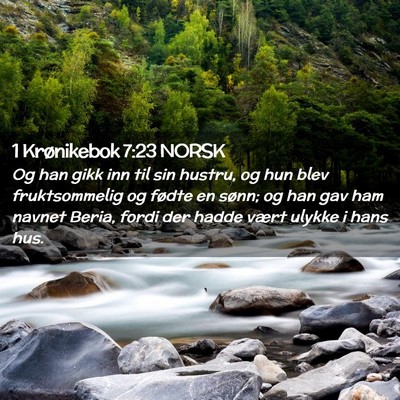Picture 02 - 1 Krønikebok 7:23 NORSK - Og han gikk inn til sin hustru, og hun blev - Bible Verse Picture