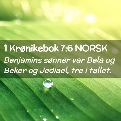 Picture 02 - 1 Krønikebok 7:6 NORSK - Benjamins sønner var Bela og Beker og Jediael, - Bible Verse Picture