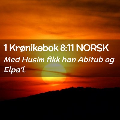 Picture 02 - 1 Krønikebok 8:11 NORSK - Med Husim fikk han Abitub og - Bible Verse Picture