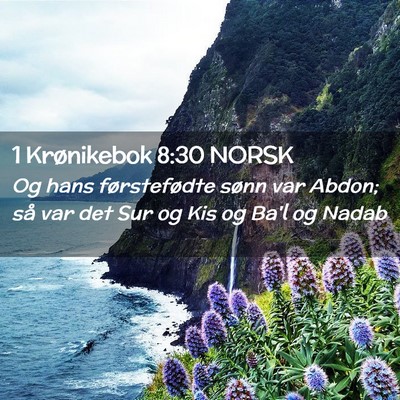 Picture 02 - 1 Krønikebok 8:30 NORSK - Og hans førstefødte sønn var Abdon; så var - Bible Verse Picture