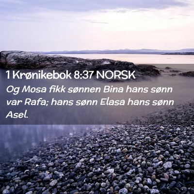 Picture 02 - 1 Krønikebok 8:37 NORSK - Og Mosa fikk sønnen Bina hans sønn var Rafa; - Bible Verse Picture