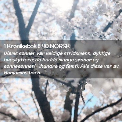 Picture 02 - 1 Krønikebok 8:40 NORSK - Ulams sønner var veldige stridsmenn, dyktige - Bible Verse Picture