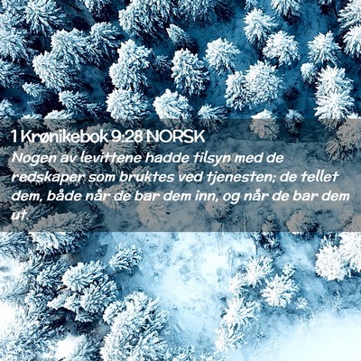 Picture 02 - 1 Krønikebok 9:28 NORSK - Nogen av levittene hadde tilsyn med de redskaper - Bible Verse Picture