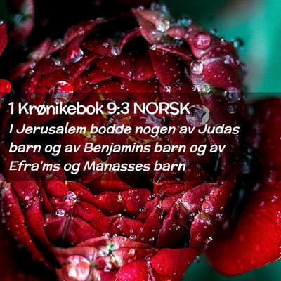 Picture 02 - 1 Krønikebok 9:3 NORSK - I Jerusalem bodde nogen av Judas barn og av - Bible Verse Picture