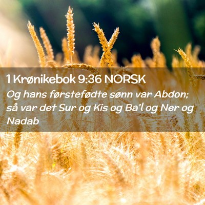 Picture 02 - 1 Krønikebok 9:36 NORSK - Og hans førstefødte sønn var Abdon; så var - Bible Verse Picture