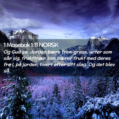 Picture 02 - 1 Mosebok 1:11 NORSK - Og Gud sa: Jorden bære frem gress, urter som - Bible Verse Picture