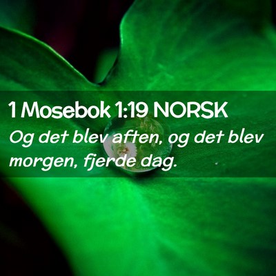 Picture 02 - 1 Mosebok 1:19 NORSK - Og det blev aften, og det blev morgen, fjerde - Bible Verse Picture