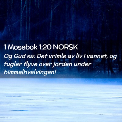 Picture 02 - 1 Mosebok 1:20 NORSK - Og Gud sa: Det vrimle av liv i vannet, og fugler - Bible Verse Picture