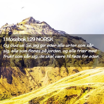 Picture 02 - 1 Mosebok 1:29 NORSK - Og Gud sa: Se, jeg gir eder alle urter som sår - Bible Verse Picture