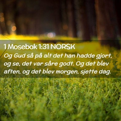 Picture 02 - 1 Mosebok 1:31 NORSK - Og Gud så på alt det han hadde gjort, og se, - Bible Verse Picture