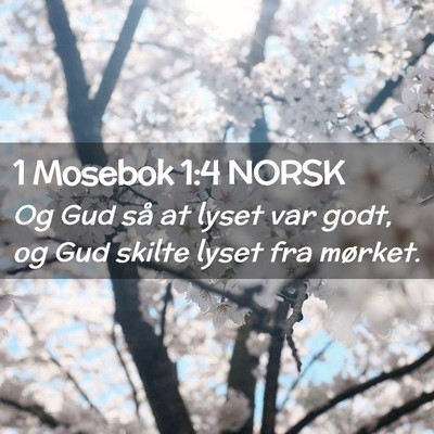 Picture 02 - 1 Mosebok 1:4 NORSK - Og Gud så at lyset var godt, og Gud skilte lyset - Bible Verse Picture