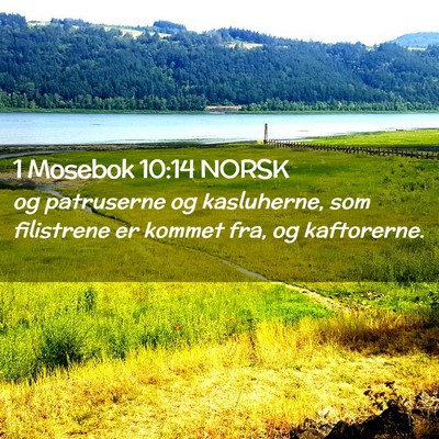 Picture 02 - 1 Mosebok 10:14 NORSK - og patruserne og kasluherne, som filistrene er - Bible Verse Picture