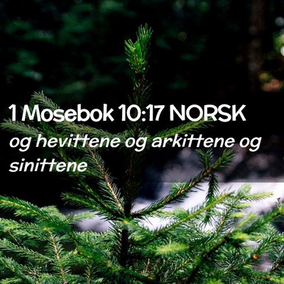 Picture 02 - 1 Mosebok 10:17 NORSK - og hevittene og arkittene og - Bible Verse Picture