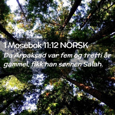 Picture 02 - 1 Mosebok 11:12 NORSK - Da Arpaksad var fem og tretti år gammel, fikk - Bible Verse Picture