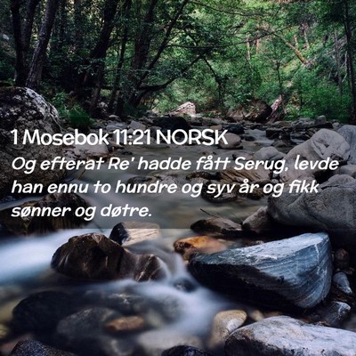 Picture 02 - 1 Mosebok 11:21 NORSK - Og efterat Re' hadde fått Serug, levde han ennu - Bible Verse Picture