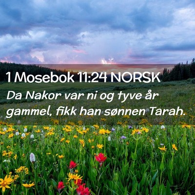 Picture 02 - 1 Mosebok 11:24 NORSK - Da Nakor var ni og tyve år gammel, fikk han - Bible Verse Picture