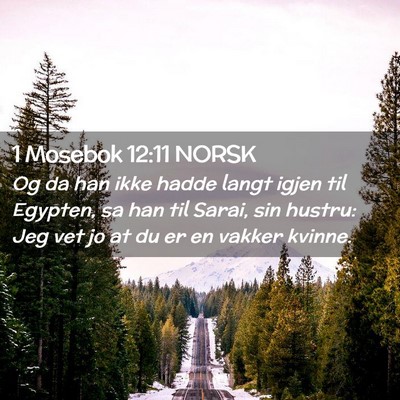 Picture 02 - 1 Mosebok 12:11 NORSK - Og da han ikke hadde langt igjen til Egypten, sa - Bible Verse Picture