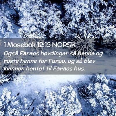 Picture 02 - 1 Mosebok 12:15 NORSK - Også Faraos høvdinger så henne og roste henne - Bible Verse Picture