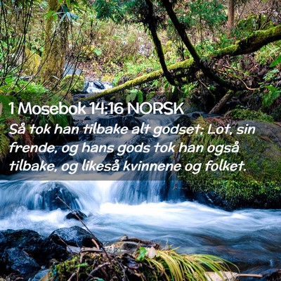 Picture 02 - 1 Mosebok 14:16 NORSK - Så tok han tilbake alt godset; Lot, sin frende, - Bible Verse Picture