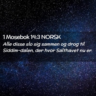 Picture 02 - 1 Mosebok 14:3 NORSK - Alle disse slo sig sammen og drog til - Bible Verse Picture