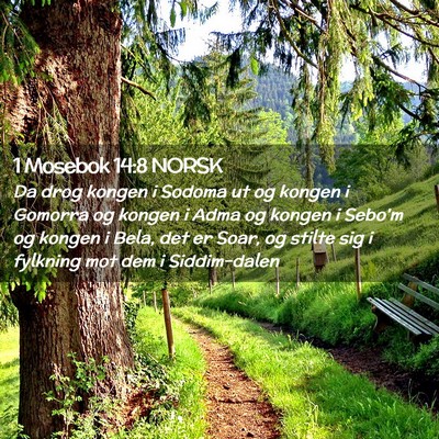 Picture 02 - 1 Mosebok 14:8 NORSK - Da drog kongen i Sodoma ut og kongen i Gomorra og - Bible Verse Picture