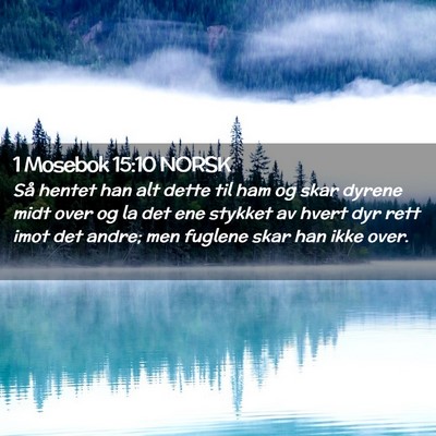 Picture 02 - 1 Mosebok 15:10 NORSK - Så hentet han alt dette til ham og skar dyrene - Bible Verse Picture