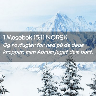Picture 02 - 1 Mosebok 15:11 NORSK - Og rovfugler for ned på de døde kropper, men - Bible Verse Picture